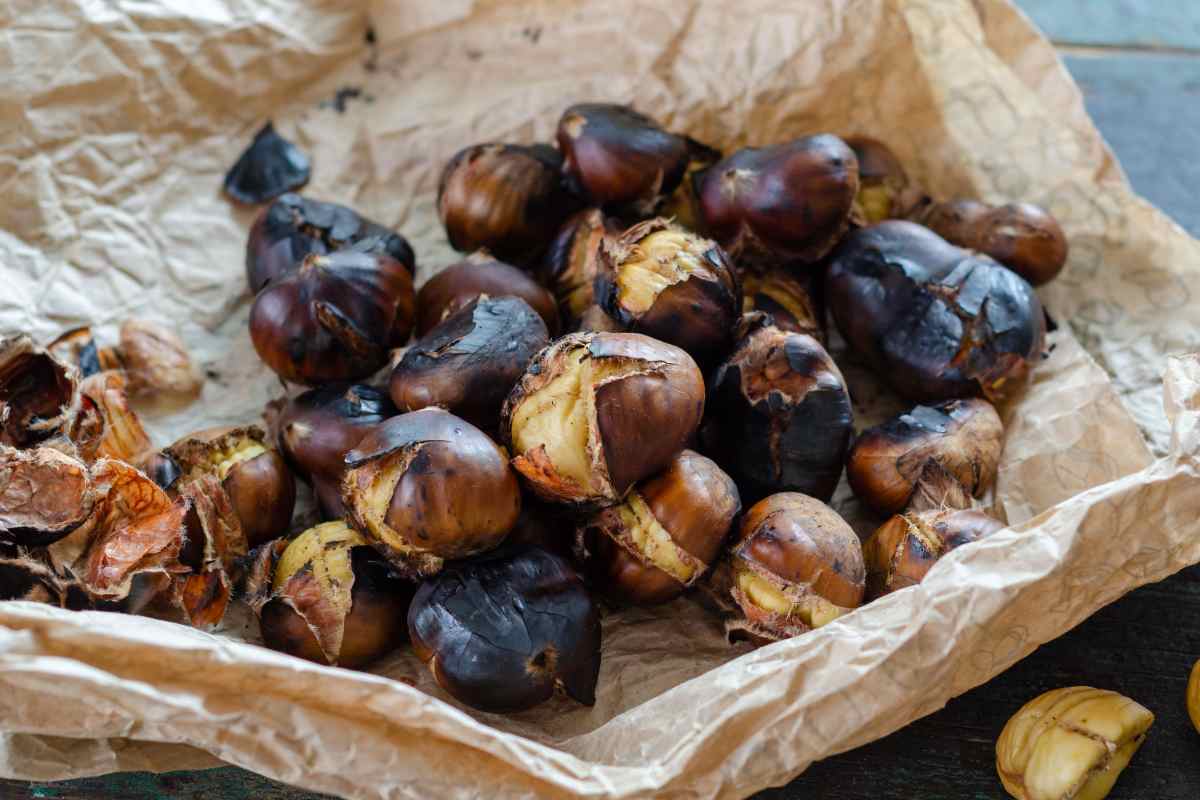 castagne cottte