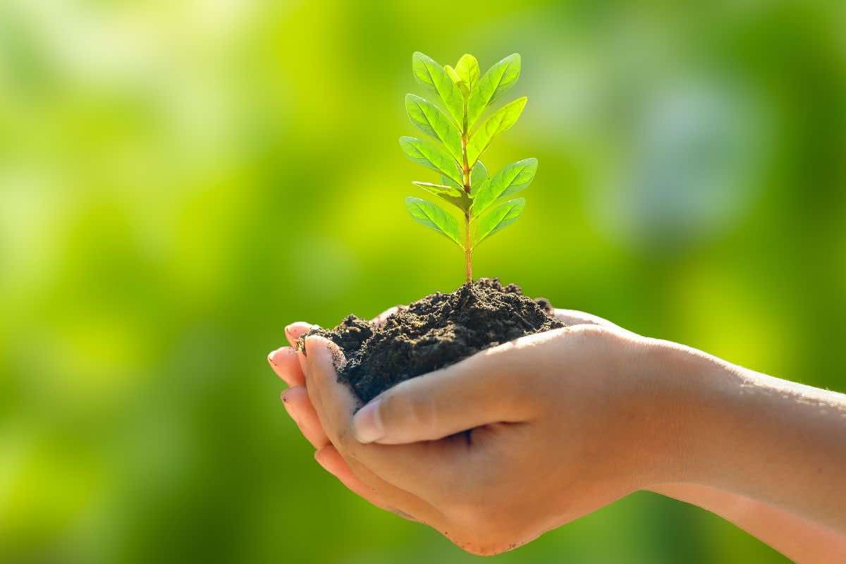 Come iniziare a vivere green: 10 piccoli cambiamenti